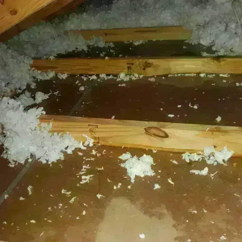 Attic Water Damage in De Soto, IL