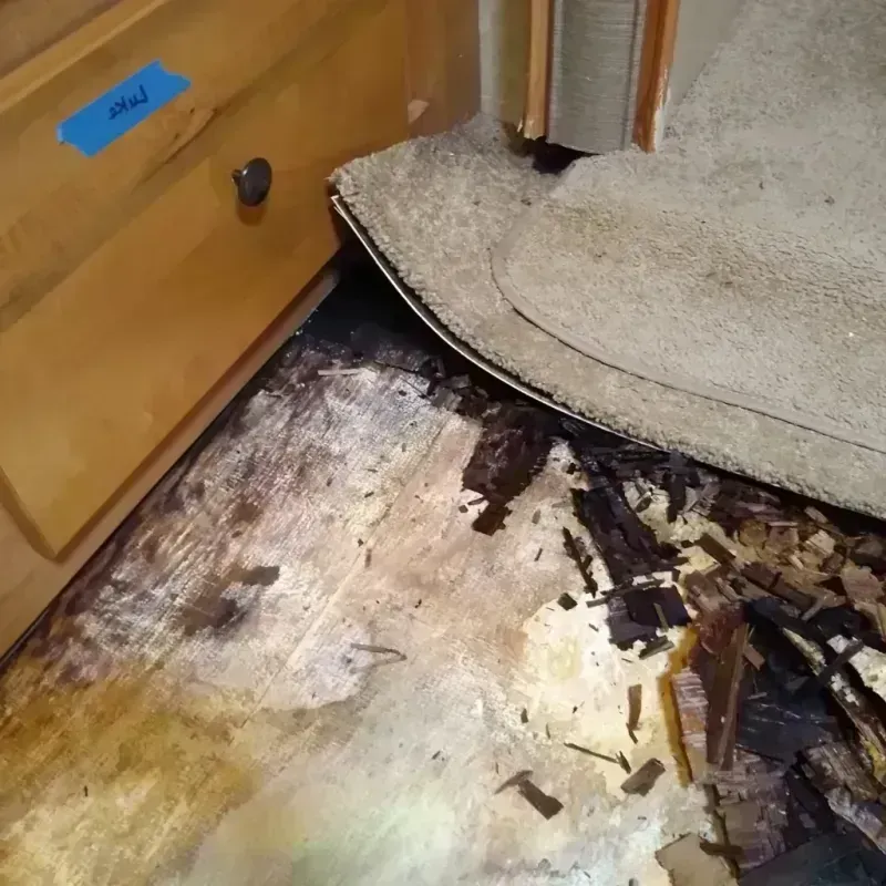 Wood Floor Water Damage in De Soto, IL